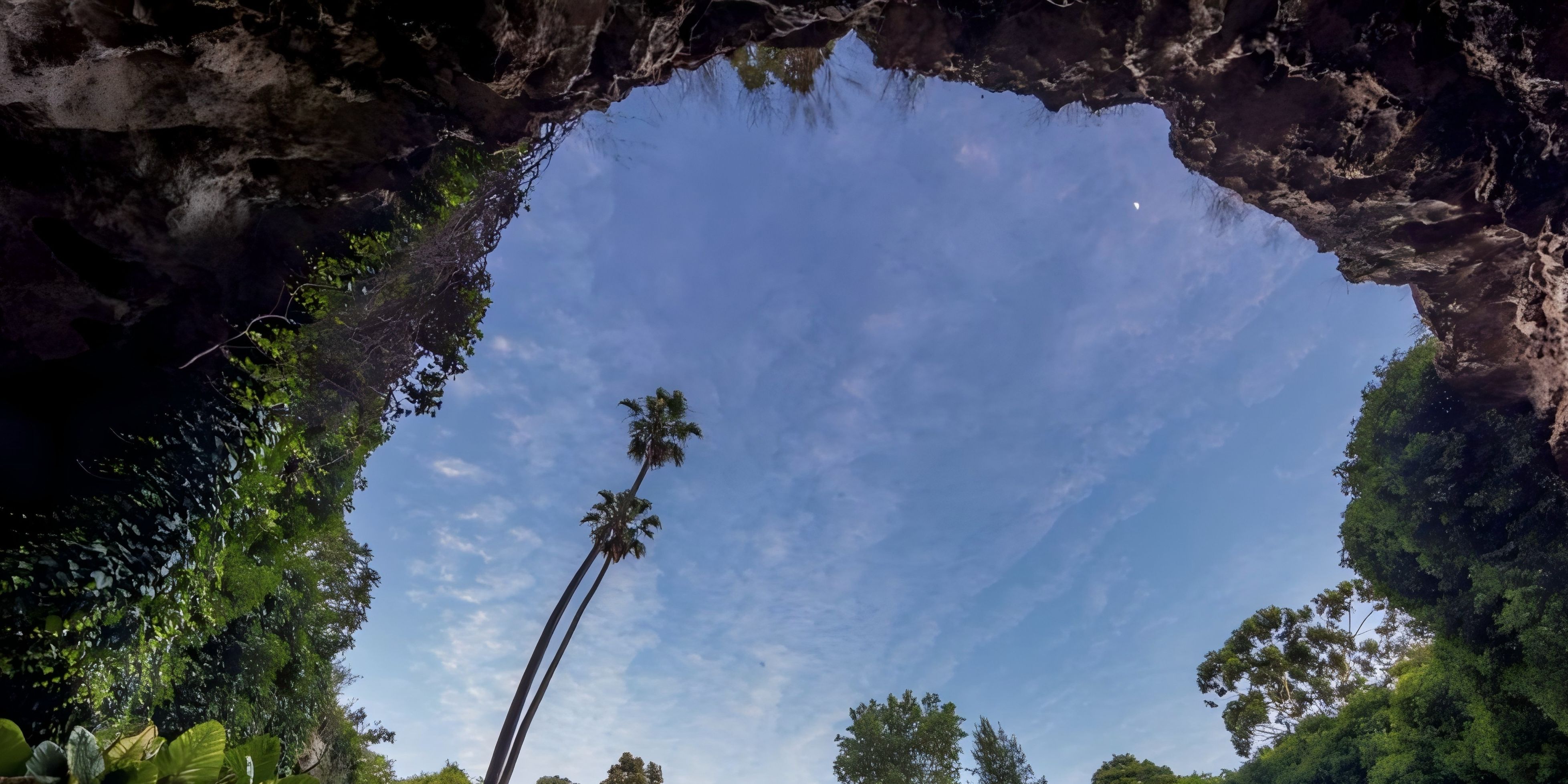 轮播图 5