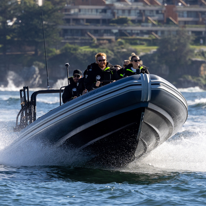 Orca Rib Sydney Whale Watching on vessel ORCA