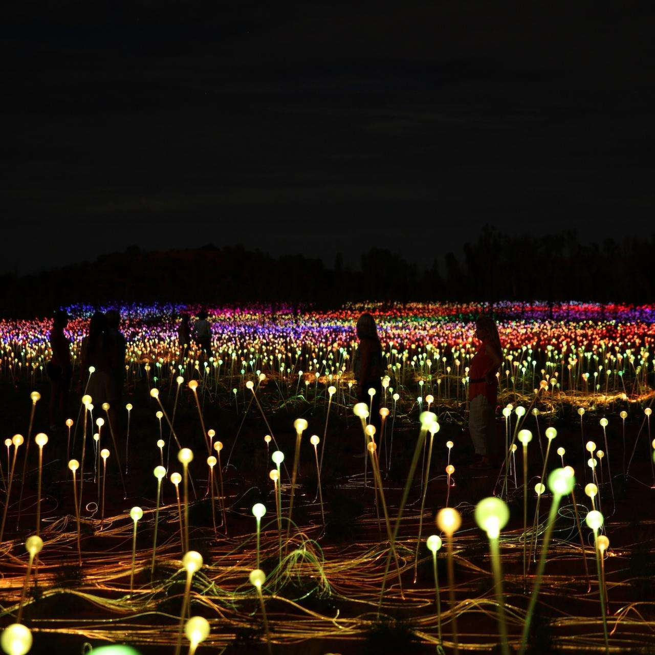 Uluru Field of Light Uluru General Admission