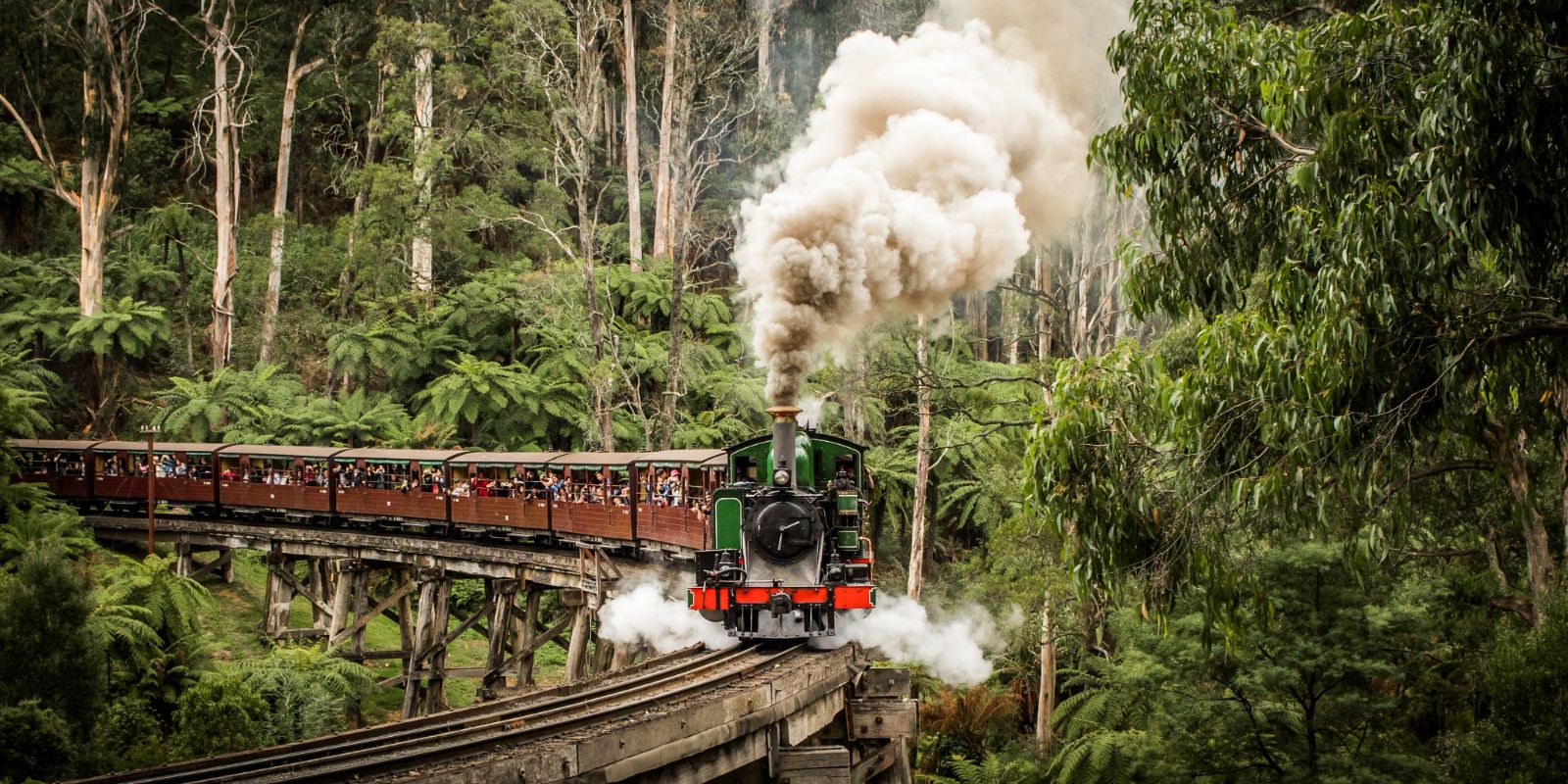 Melbourne 5-day tour - MEL5D (Puffing Billy/Phillip Island/Great Ocean Road/Sovereign Hill)