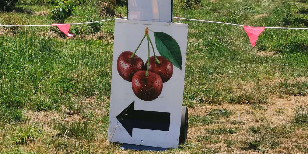 轮播图 6
