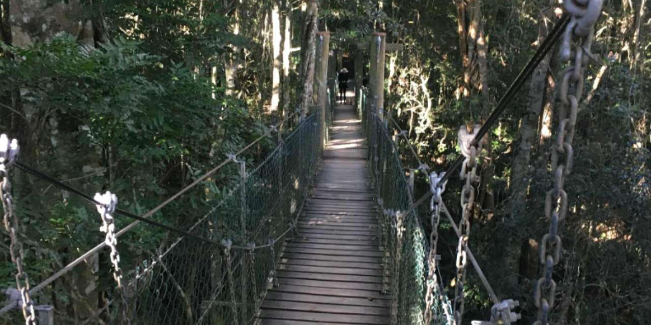 轮播图 2