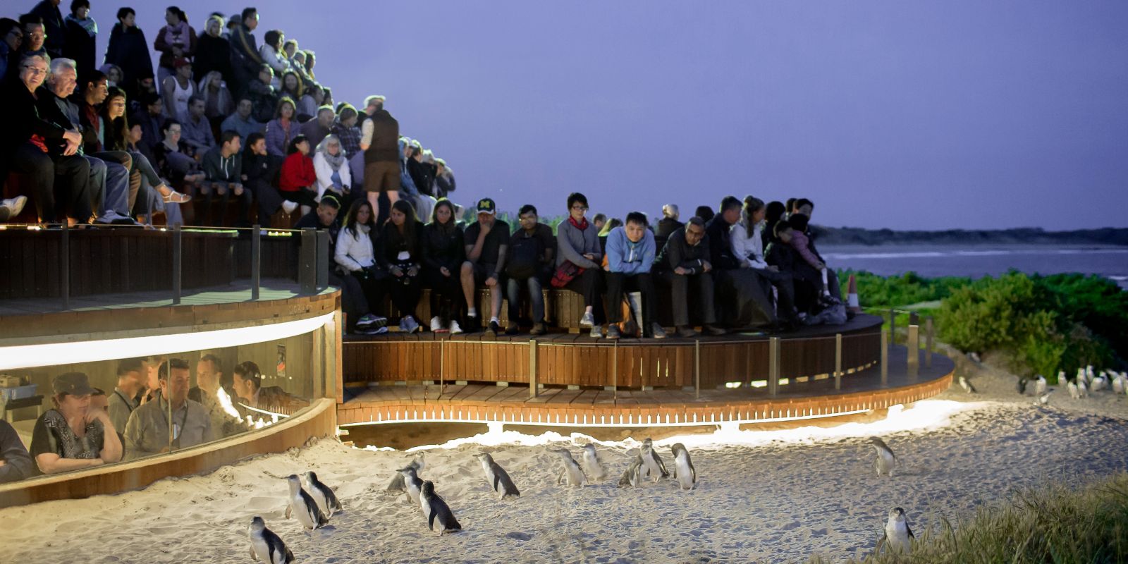 Melbourne 3-day tour - MEL3D (Phillip Island/Great Ocean Road/Airport Transfer Inclusive)