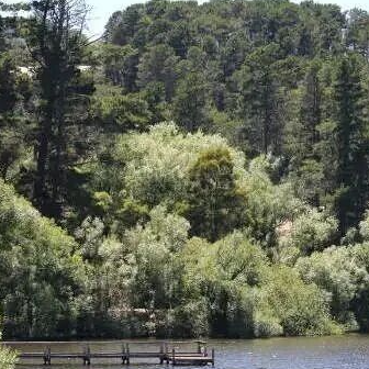 墨尔本市区出发：温泉小镇 Daylesford 市集漫游·湖畔散步·火山奇石·山顶远眺轻户外1日游（周日出发/Lv1 轻户外）