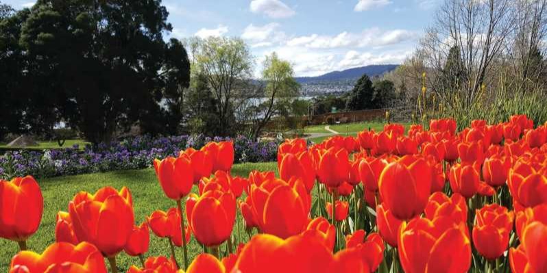 轮播图 3