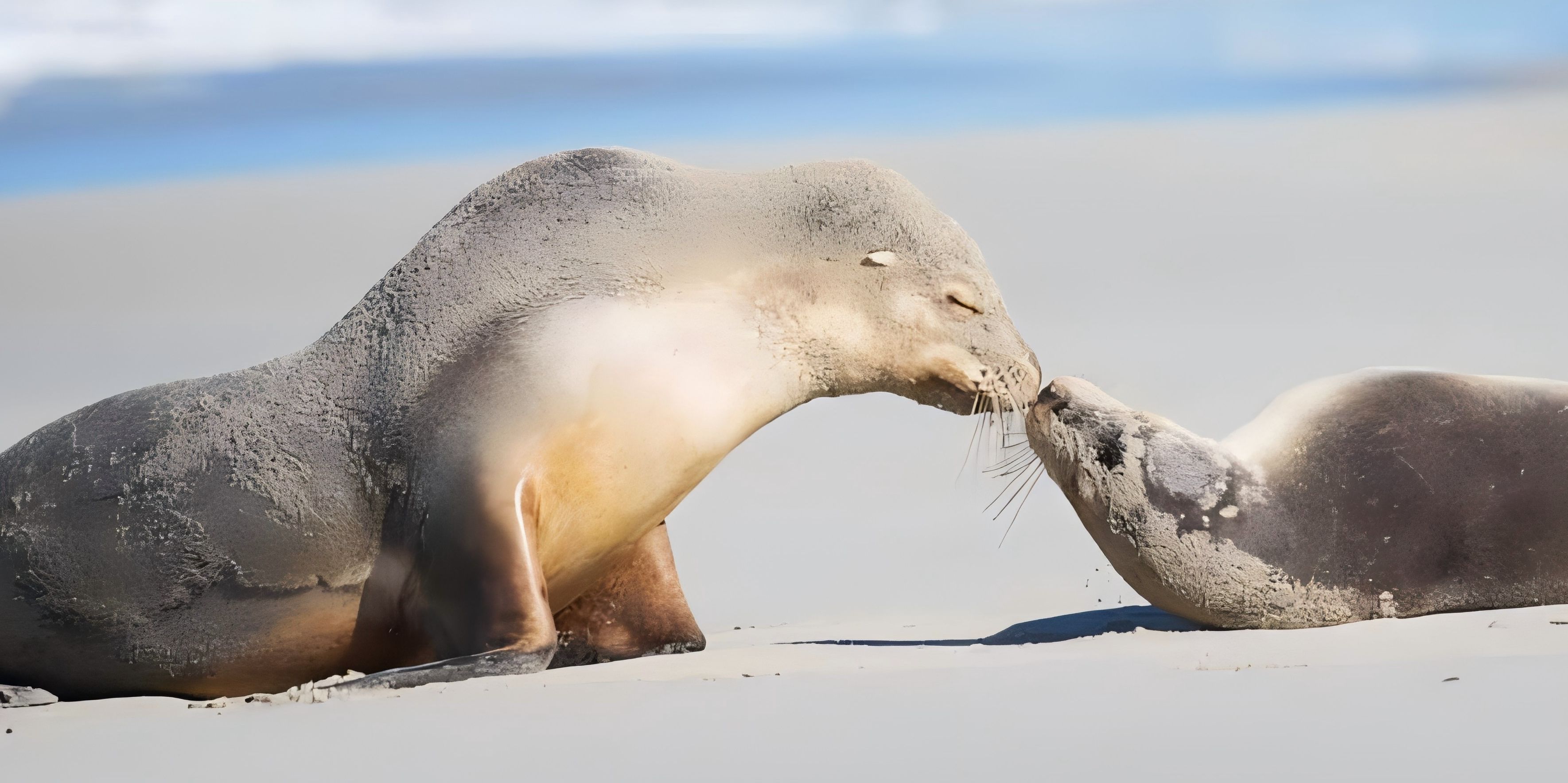 轮播图 5