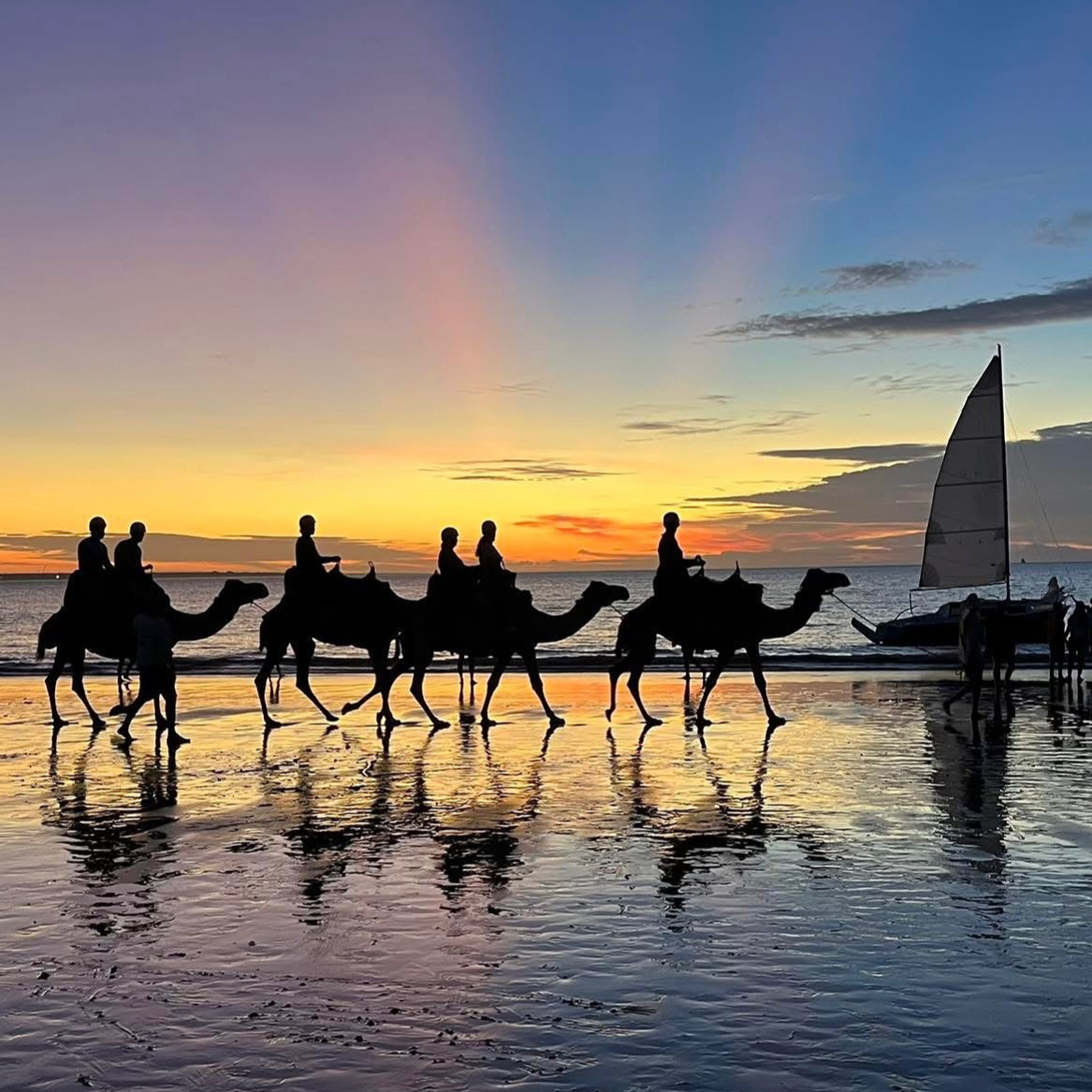 Cart Rinde Ending Darwin Sunset Camel Ride