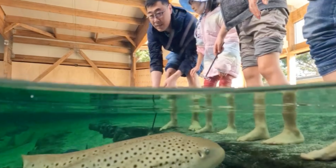 轮播图 2