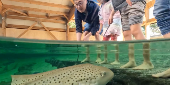 轮播图 2