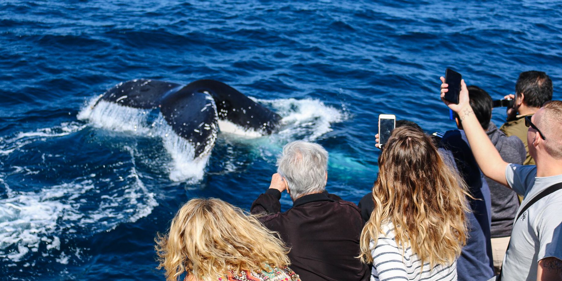 轮播图 2
