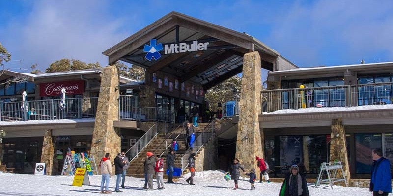 【冬季热卖】Mt Buller墨尔本布勒雪山1日游-山顶直达（观光/赏雪/滑雪）