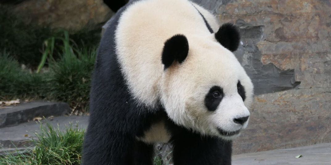 轮播图 5