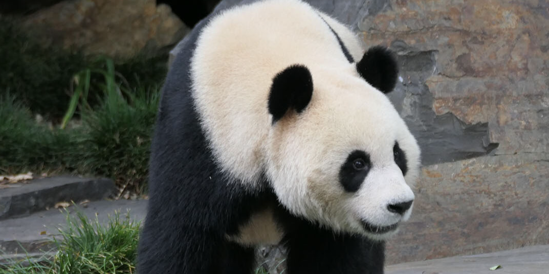 轮播图 5