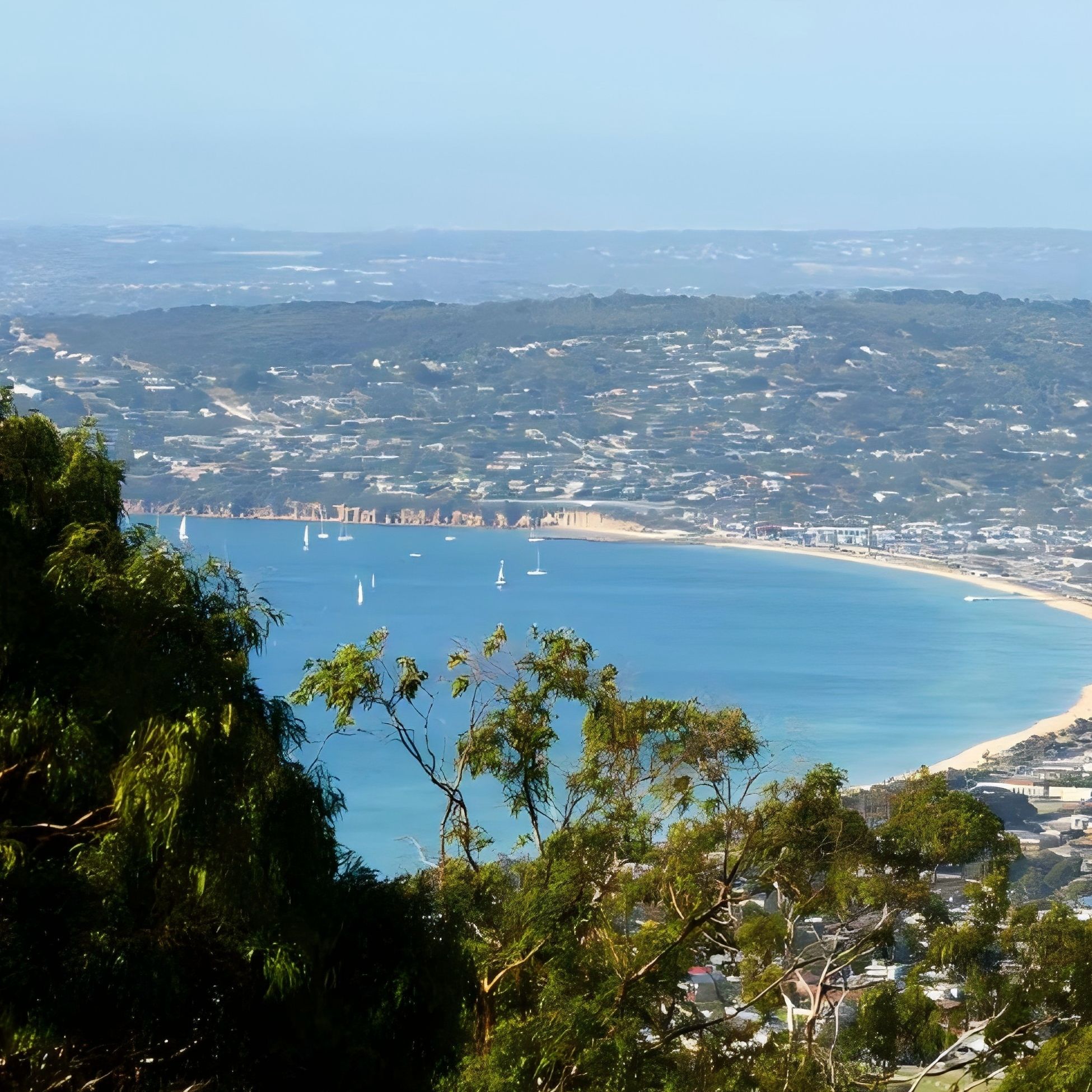 墨尔本市区出发：莫宁顿海岸·高山海景·滨海小镇漫游轻徒步1日游（周六出发/Lv2 轻徒步）