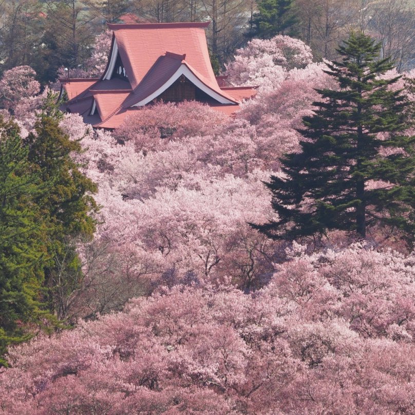 日本